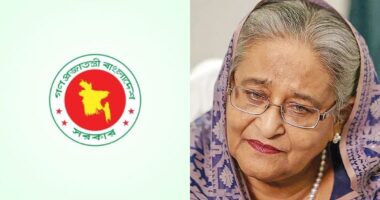 গণমাধ্যমকে শেখ হাসিনার বক্তব্য প্রচার না করার অনুরোধ সরকারের