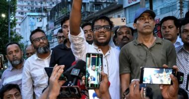 ছাত্রদল আজ যে ভূমিকা রেখেছে, তা প্রশংসার দাবিদার: রবিউল ইসলাম নয়ন