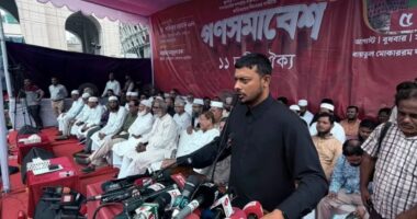 তারেক রহমান ক্ষমতায় থাকবেন না, পতন শুরু হয়ে গেছে, শেখ হাসিনার মতোই জনগণ বিচার করবে: নাসীরুদ্দীন