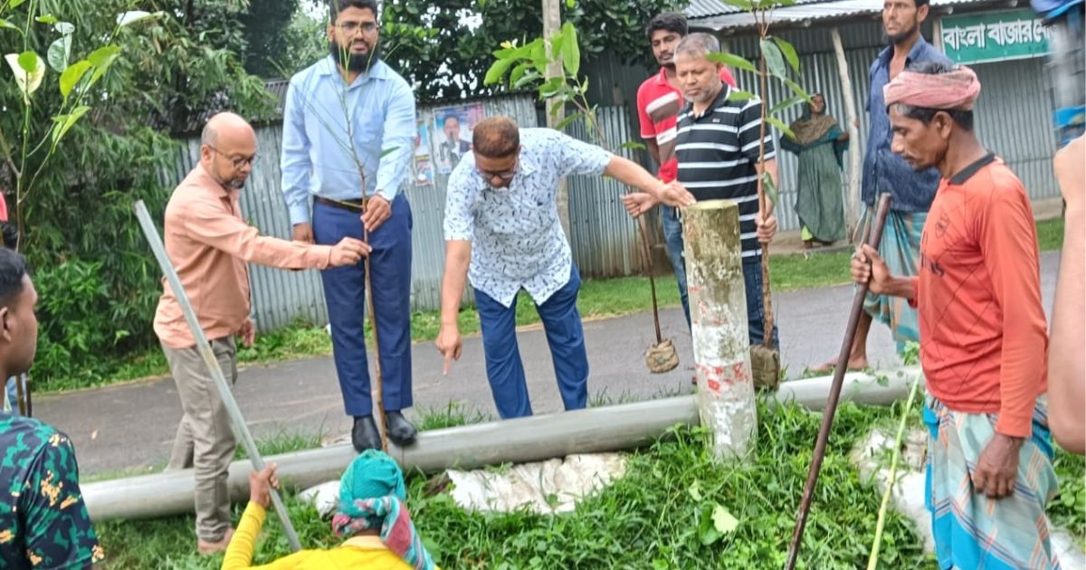 ইউএনও’র উদ্যোগে ৫ কিলোমিটার সড়কে বৃক্ষ রোপন