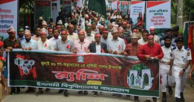 নানা আয়োজনে ইবিতে জুলাই গণঅভ্যুত্থানের দ্বিতীয় বার্ষিকী পালন