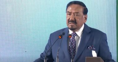 যে ডকুমেন্টারিতে শহিদ আবু সাঈদের ছবি নেই, সেটি কোনো ডকুমেন্টারি না: ভারপ্রাপ্ত রাষ্ট্রপতি