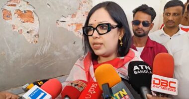 ‘শেখ হাসিনা বাংলাদেশের নাগরিক, আমার কমনসেন্স বলছে, তিনি দেশে ফিরবেন’: রুমিন ফারহানা