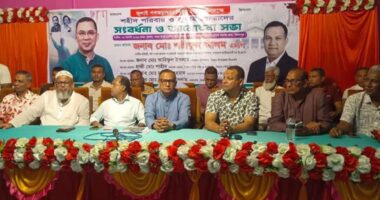 ‘আগের সরকার আমলে দেশে কোনো গণতন্ত্র ছিল না, স্বৈরাচারের পতনের পর দেশে গণতন্ত্র ফিরে এসেছে’: শরীফুল