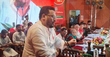 বিরোধীদল জুলাই সনদ বাস্তবায়নে আন্তরিক নয়; তারা শুধু এ বিষয়ে বক্তব্য দিয়ে যাচ্ছে: মীর হেলাল