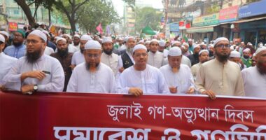 শেয়ালের হাতে মুরগি তুলে দেওয়ার মতো ভুল করেছি: চরমোনাই পীর