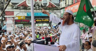 বিএনপি ও জামায়াত জুলাই আন্দোলনে ছিল না,জুলাইয়ের শুরু থেকেই আমরা প্রকাশ্যে রাজপথে ছিলাম: ফয়জুল করীম