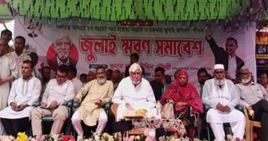 আওয়ামী লীগ আমাদের শত্রু নয়, মিত্র: এমপি নাছির চৌধুরী