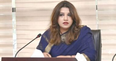 বাংলাদেশের সঙ্গে ভারত কেমন সম্পর্ক রাখবে, সেই সিদ্ধান্ত তাদেরই নিতে হবে: পররাষ্ট্র প্রতিমন্ত্রী