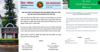 ইবির ৪৪ শিক্ষককে নিয়ে তদন্ত, ফ্যাসিবাদী প্রশ্নে ঐক্যবদ্ধ বিএনপি-জামায়াতপন্থী শিক্ষক সংগঠন