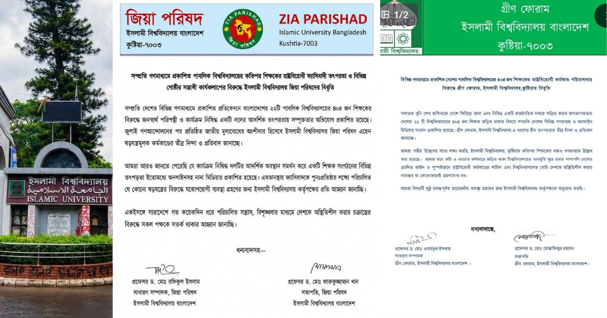 ইবির ৪৪ শিক্ষককে নিয়ে তদন্ত, ফ্যাসিবাদী প্রশ্নে ঐক্যবদ্ধ বিএনপি-জামায়াতপন্থী শিক্ষক সংগঠন