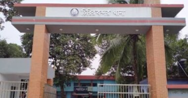 পুকুরের মাছ চুরির বিরোধে বড় ভাইয়ের মারধরে ছোট ভাইয়ের মৃত্যু