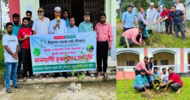 জুলাই শহীদদের স্মরণে বড়লেখায় মাসব্যাপী নিসচার বৃক্ষরোপণ কর্মসূচির উদ্বোধন