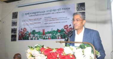 আমাদের বিভেদের সুযোগ হাসিনাকে নিতে দেয়া যাবে না: শহীদউদ্দিন চৌধুরী এ্যানি