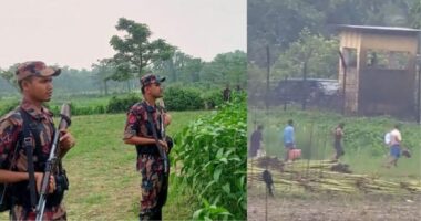 মেহেরপুরের গাংনীর ধলা সীমান্তে ৫ জনকে পুশইন করার চেষ্টা রুখে দিল বিজিবি