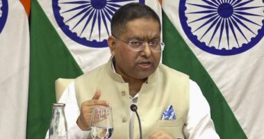 হাসিনার বিএনপি সরকারবিরোধী বক্তব্যে ভারতের কোনো সমর্থন নেই: রণধীর জয়সওয়াল
