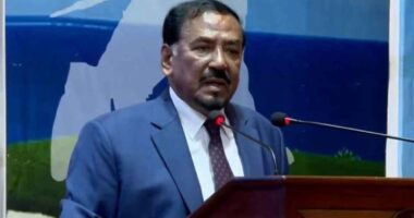 মুক্তিযুদ্ধ জনতার ছিলো, কোনো রাজনৈতিক দলের নয়: ভারপ্রাপ্ত রাষ্ট্রপতি