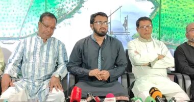 জামায়াত আমিরের নেতৃত্বে সচিবালয়ে মব সৃষ্টি করা হয়েছে: রাশেদ খাঁন