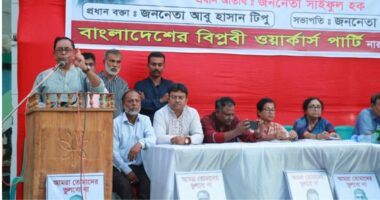 বাংলাদেশকে চাপে রাখতে ভারত সরকার ‘হাসিনা কার্ড’ খেলছে: সাইফুল হক