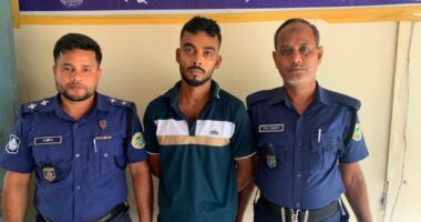 জিয়ানগরে ১০ পিস ইয়াবাসহ যুবক গ্রেফতার