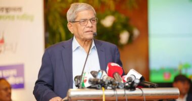 আ.লীগ দেশ ধ্বংস করে, সেই ধ্বংসস্তূপ থেকে গড়ার দায়িত্বটা পড়ে বিএনপির ওপরে: মির্জা ফখরুল
