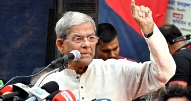 আবারও দেশকে অস্থির করে তোলার চেষ্টা করছে একটি মহল, এটা অত্যন্ত দুঃখজনক: মির্জা ফখরুল