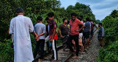 গাজীপুরের শ্রীপুরে রেললাইনে স্বামী-স্ত্রীর ছিন্নবিচ্ছিন্ন মরদেহ উদ্ধার