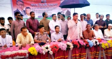 বিএনপি না থাকলে জামায়াত-এনসিপিকে গুলিয়ে খাবে আ.লীগ: এমপি বাবুল