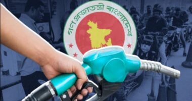 বেসরকারি খাতে জ্বালানি তেল আমদানি নীতিমালার খবরকে ‘কাল্পনিক ও অসত্য’ বলল সরকার