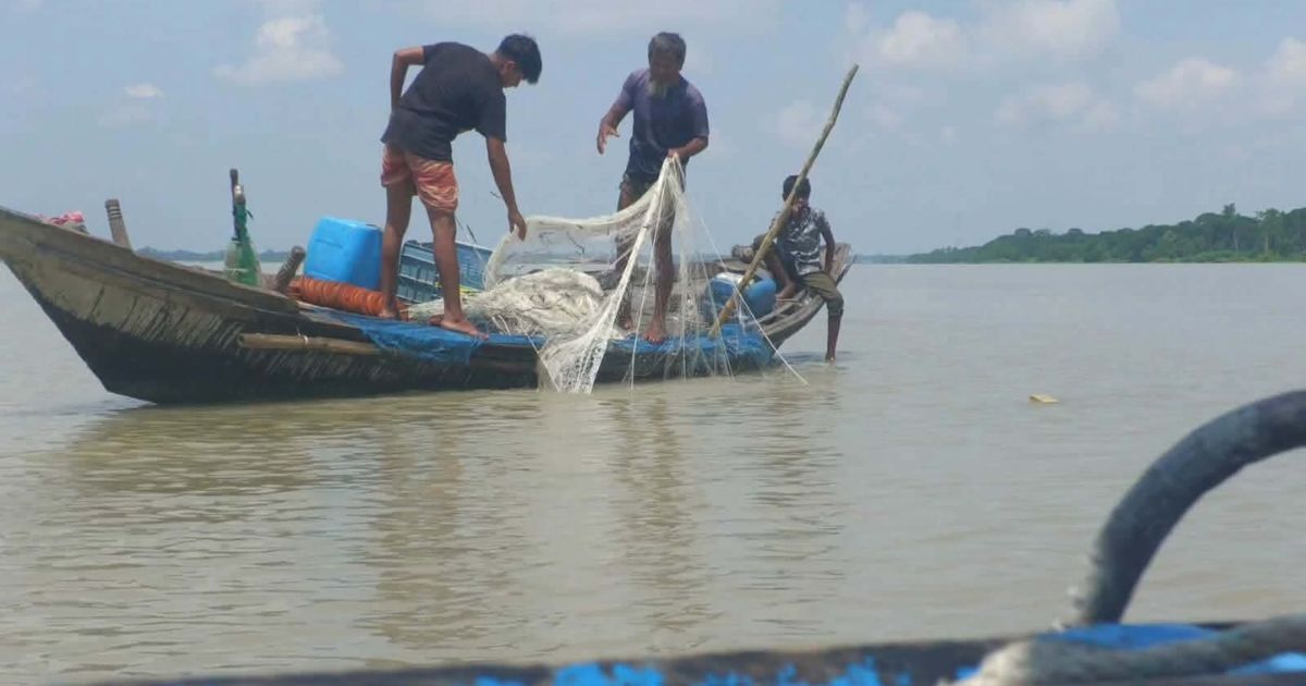 ইলিশ মাছ ধরতেও বিএনপির নেতাকে দিতে হবে চাঁদা