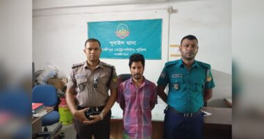 পূবাইলে দুই বছরের শিশুকে ধর্ষণচেষ্টা মামলায় আসামি গ্রেপ্তার