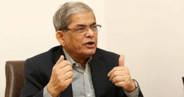 ‘রাষ্ট্রপতি পদে মনোনয়নের ব্যাপারটি আমার নলেজে নেই,এ বিষয়ে আমি কিছু জানি না’: মির্জা ফখরুল