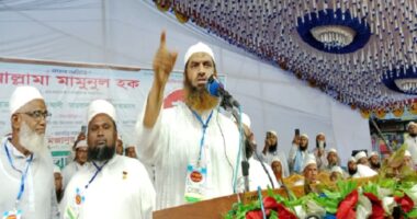 আমরা সরকার পতন চাই না, আমরা চাই সরকার যেন ফ্যাসিবাদ না হয়ে উঠে: মামুনুল হক