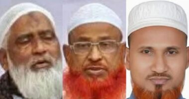 মুরগির বিষ্ঠার ভাগ নিয়ে বিএনপির সঙ্গে মারামারি, জামায়াতের ৩ নেতা কারাগারে