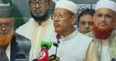রাষ্ট্রপতি নির্বাচনে জয়-পরাজয় নয়, গণতান্ত্রিক চর্চা ফেরাতেই প্রার্থী: হামিদুর রহমান আযাদ