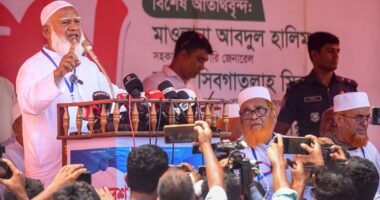 আপার পথেই হাঁটছেন, শেষ ঠিকানা মক্কা নয় দিল্লি: প্রধানমন্ত্রীকে শফিকুর রহমান