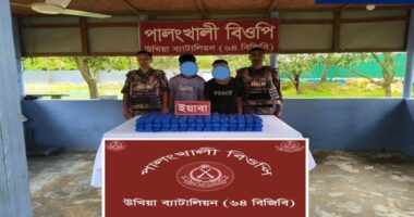 সীমান্তে ৩ লাখ ৫০ হাজার ইয়াবাসহ টেকনাফের দুই যুবক আটক করলো ৬৪ বিজিবি