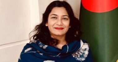 ‘ঠাকুরগাঁও-এর ৫টি স্কুলে কেউ পাশ করেনি,শিউরে ওঠার মতো কথা’: ড. শামারুহ মির্জা
