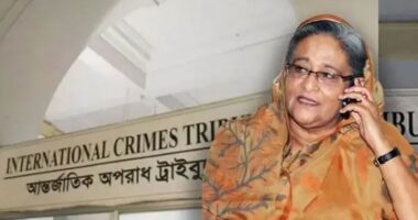 যে কয়টারে পার, উঠায়া নিয়া যাও: শেখ হাসিনা