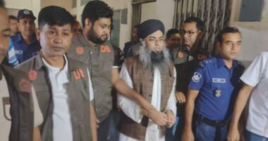 এনসিপির বহিষ্কৃত নেতা সালাউদ্দিন তানভীর তিন দিনের রিমান্ডে