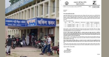 নেত্রকোনায় পল্লী বিদ্যুতের লোডশেডিং,অফিসের নিরাপত্তা চেয়ে জেলা প্রশাসক কে চিঠি