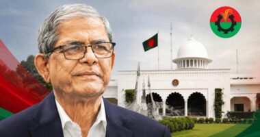 দেশের পরবর্তী রাষ্ট্রপতি নির্বাচনে বিএনপির প্রার্থী মির্জা ফখরুল