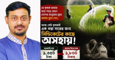১৩৫০ টাকার টিএসপি সার ১৮০০ টাকা, বাকি ৪৫০ টাকা যাচ্ছে কোথায়: নাসীরুদ্দীন পাটওয়ারী
