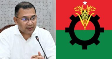রাষ্ট্রপতি ইস্যুতে স্থায়ী কমিটির বৈঠক ডেকেছেন তারেক রহমান