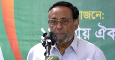 আমাকে গালি দেয়, আমি নাকি মেম্বারও হতে পারবো না: কর্নেল অলি