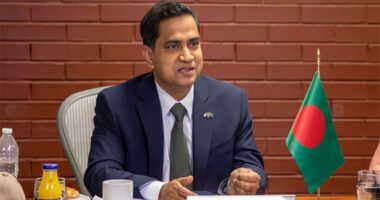 প্রধানমন্ত্রীর প্রেস উইংয়ে ‘বিকল্প’ হিসেবে প্রচারণায় আমি বিব্রত-বিরক্ত, পদ সাময়িক- দেশের প্রতি দায়বদ্ধতা চিরস্থায়ী’: রাষ্ট্রদূত মুশফিক