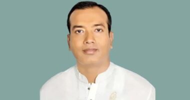 ‘শ্রেষ্ঠ অধ্যায়ের সমাপ্তি’, নতুন জীবন শুরু করতে চান ছাত্রদল সভাপতি রাকিবুল ইসলাম রাকিব