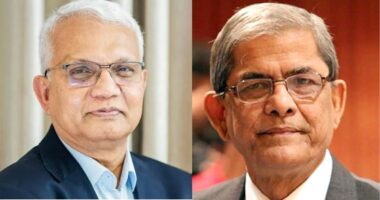 মির্জা ফখরুল পদত্যাগ করেননি, এখনো মহাসচিব: সমাজকল্যাণমন্ত্রী