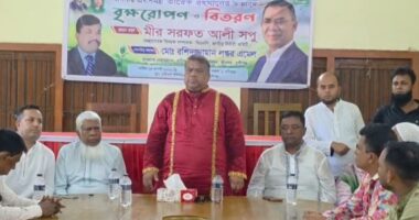 রিজভীকে মহাসচিবের দায়িত্ব দিলে বিএনপি আরও শক্তিশালী হবে: সপু