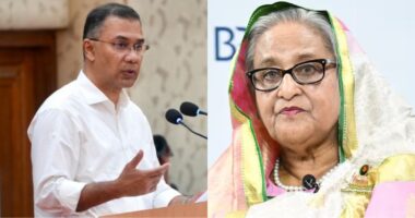 শেখ হাসিনাকে ঢাকায় ফেরত না পাঠালে ভারতে যাবেন না প্রধানমন্ত্রী তারেক রহমান
